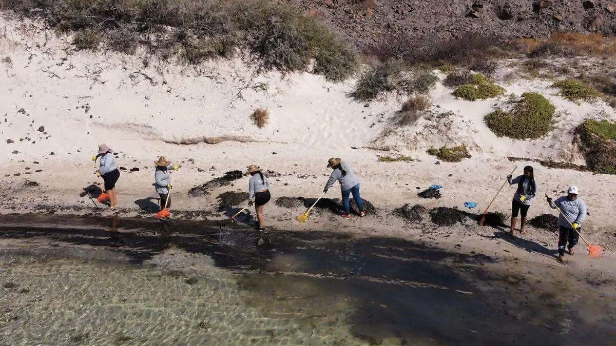 Incidente en Balandra, un ejemplo del mal manejo de áreas naturales protegidas Oceana